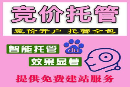 深度解析SEM优化公司的成功因素